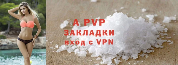 jwh Белокуриха