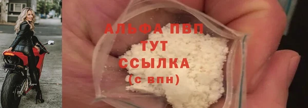jwh Белокуриха