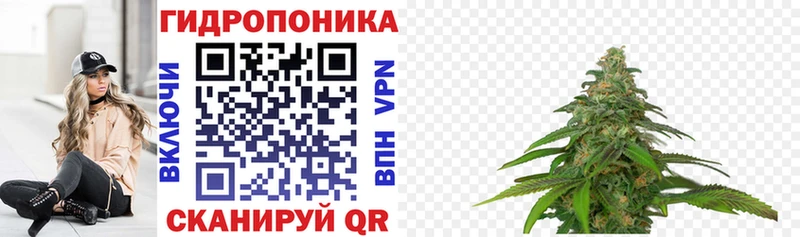 kraken ONION  Кушва  Каннабис тримм 